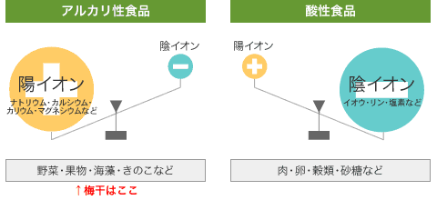 身体に効く梅 3つのキーワード ふるさと物産企画センター